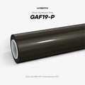 GAF19-P