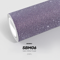 SBM06